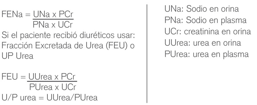 imagen1_insuficiencia-renal-aguda